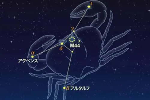 巨蟹座是什么象星座 巨蟹座的星象特征