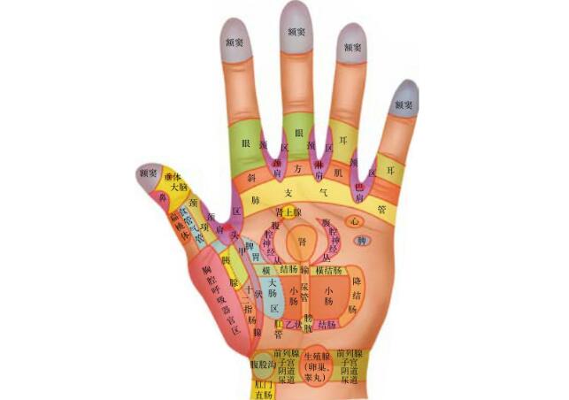 掌纹看健康运  如何通过手相看身体健康状况