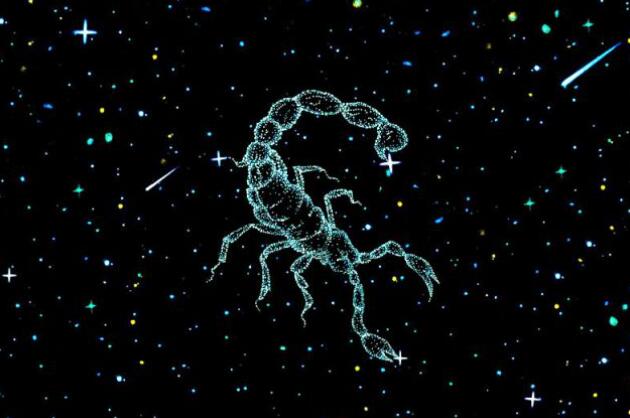 天蝎座是什么星象  天蝎座是什么星象属性的人