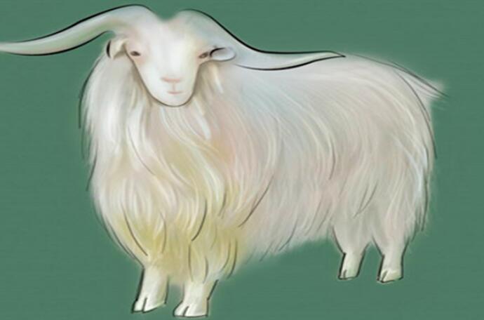 属羊的和什么属相最配  和属羊最相配的生肖有哪些