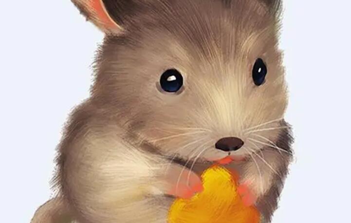 男鼠女鼠能白头到老吗  女鼠大男鼠几个月可以配吗