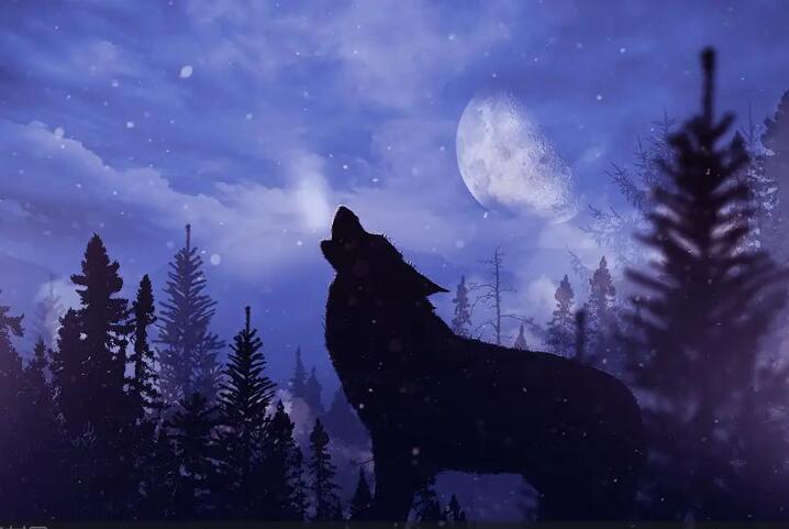 梦见黑狼是什么意思  梦见黑狼有什么预兆