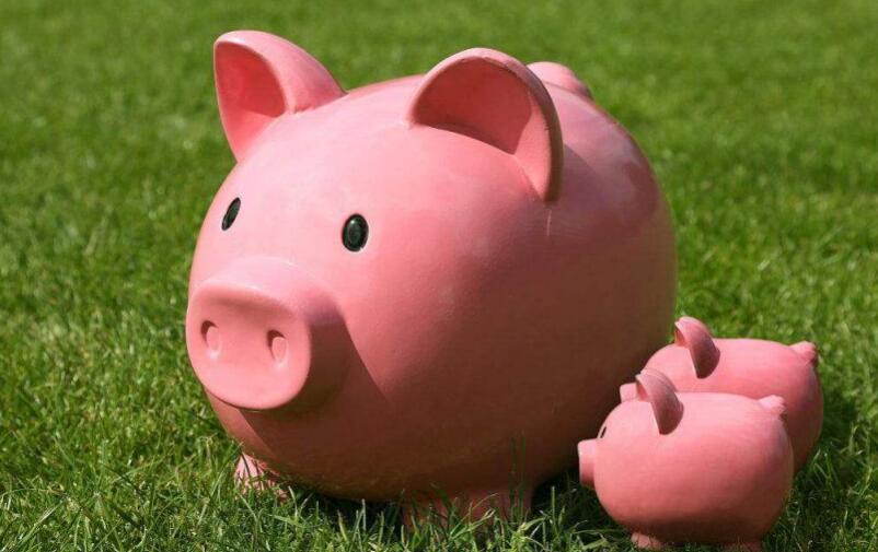 属猪人的财运特点  属猪什么时辰最有钱