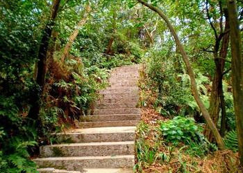 梦见阶梯、台阶代表什么意思 做梦梦到阶梯、台阶是怎么回事