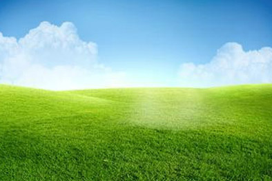 梦见草地是什么预兆 梦到草地是什么意思