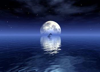 梦见月亮是什么预兆 梦到月亮是什么意思