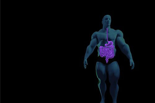 梦见肠胃是什么预兆 梦到肠胃是什么意思