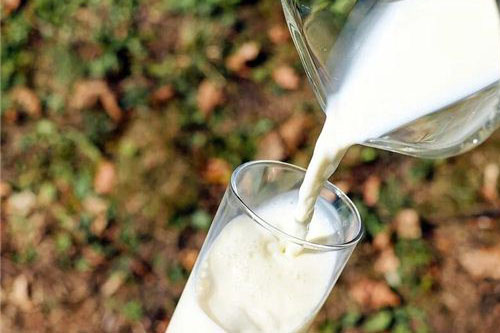 梦见酪乳、白脱牛奶是什么预兆 梦到酪乳、白脱牛奶是什么意思