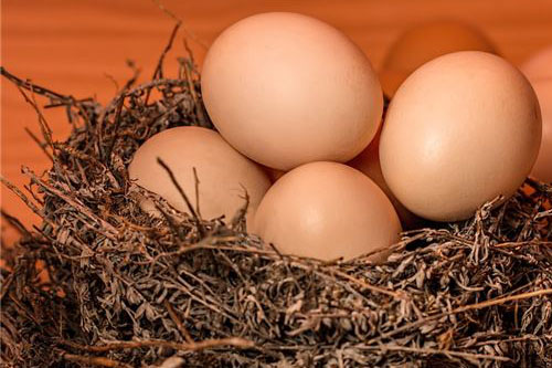 孕妇梦见吃鸡蛋意味着什么 孕妇梦到吃鸡蛋是什么意思
