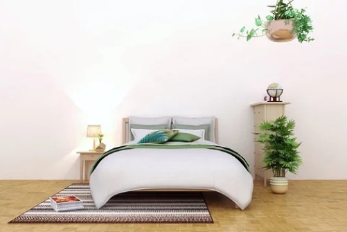 卧室放什么植物最旺财又健康 卧室适合养什么绿植