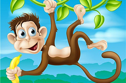 属猴人在人生哪个阶段会有所突破 属猴几岁最有发财运