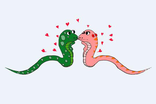 属蛇男动情的表现有哪些 属蛇男暗恋一个人的表现